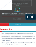 Escherichia Coli ESSN 2022