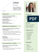 247 Curriculum Vitae Estudiante