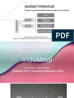 9 Propiedad Industrial 8721 MARCAS Y PATENTES CLASE 9