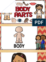 body parts