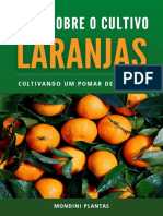 E-Book Cultivo de Laranjas
