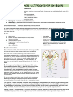 Sme piramidal - alteraciones de la sensibilidad