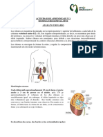 Actividad de Aprendizaje N°1 Fisiopatologia Farmacia