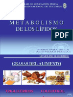 5-Metabolismo Lipídico
