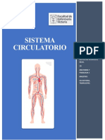 Sistema Circulatorio Luz