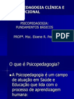 Psicopedagogia Fundamentos Basicos