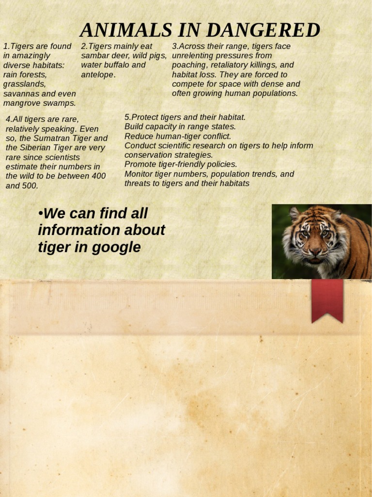 Protecting Endangered Tigers | PDF | Home & Garden