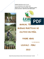 Original Manual Técnico Piña Aguaytia.