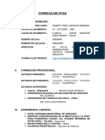 Curriculum Vitae Robert - Toquepala