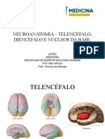 Neuroanatomia - Telencéfalo, Diencéfalo E Núcleos Da Base
