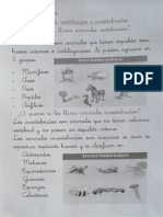 Animales Vertebrados e Invertebrados.