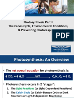 02 Photosynthesis Calvin Cycle Light Independent Reactions