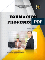 Unidad Tematica Nº2 Formación Profesional