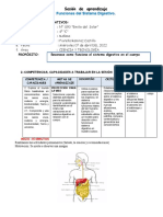 Funciones Del Sistema Digestivo