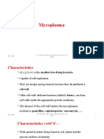 Mycoplasma Spp.