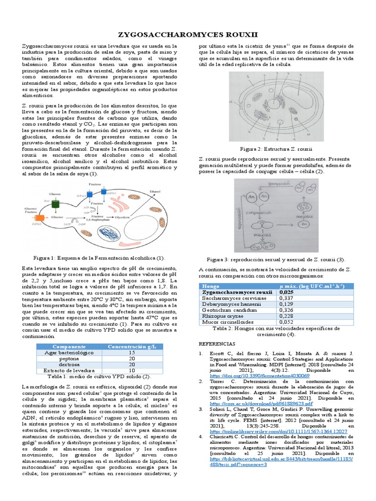 Ficha Tecnica Zygosaccharomyces Rouxii | PDF | Levadura | Fermentación