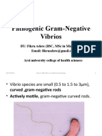 Pathogenic Gram-Negative Vibrios
