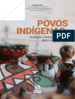 Povos Indígenas - Histórias e Antropologias em Mato Grosso Do Sul