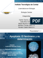 Apoptosis El fenómeno y su determinación