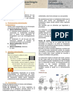 Amebas: 1. Protozoarios Intestinales 1.1