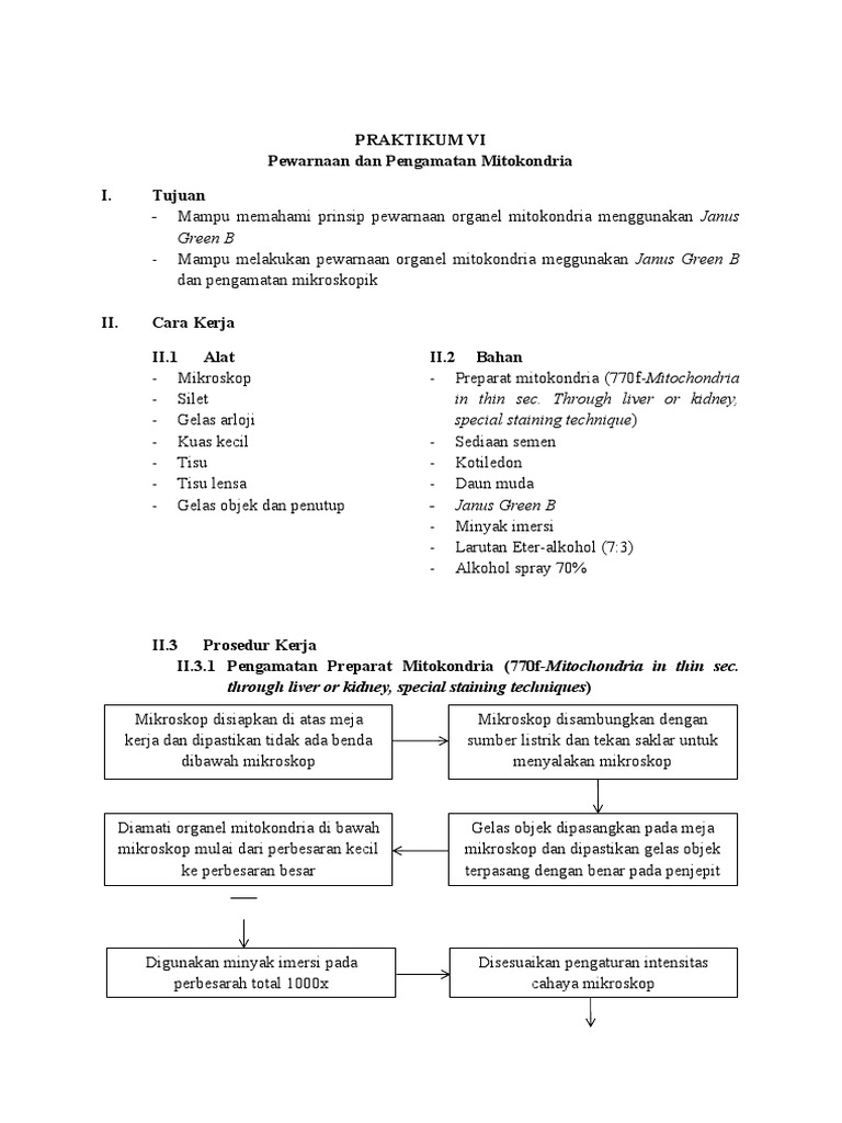 Pewarnaan dan Pengamatan Mitokondria PDF