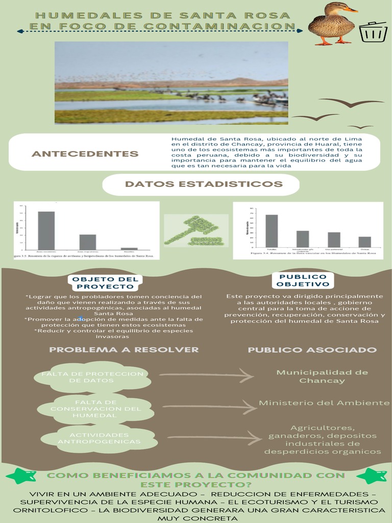 Infografía humedales Santa Rosa | PDF