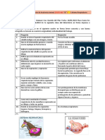 Lab4 Sistema Respiratorio ZOOT1405