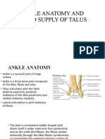 Ankle Anatomy and Blood Supply of Talus
