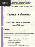 Teconologiadoarroz