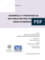 Arrones - Desarrollo y Fenotipado de Una Población Multiparental MAGIC de Berenjena.