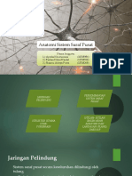 Kelompok 3 - Anatomi Sistem Saraf Pusat