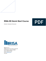 RISA-3D Quick Start Handout