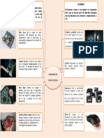 Mapa Mental Hardware de Computadora