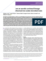 Marsarchaeota Are An Aerobic Archaeal Li