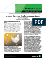 Fichetechnique: Le Stress Thermique Chez Les Poules Pondeuses Commerciales