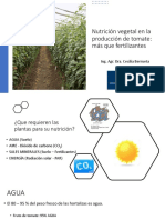 C. BERRUETA - Nutrición Vegetal en La Producción de Tomate
