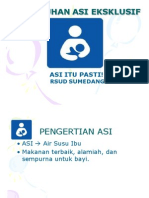 ASI ITU PASTI - Rsud Sumedang 2011