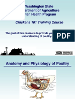 Anatomy and Physiology of Poultry 1684847053