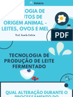 Leites Fermentados