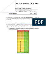 Informe Del Cuestionario