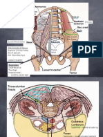 Posterior Abdominal Wall - Part1