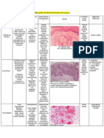 Alterações de Desenvolvimento Da Mucosa - PDF FINAL