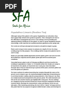 Japanese Tea Culture Art, History, and Practice (Morgan