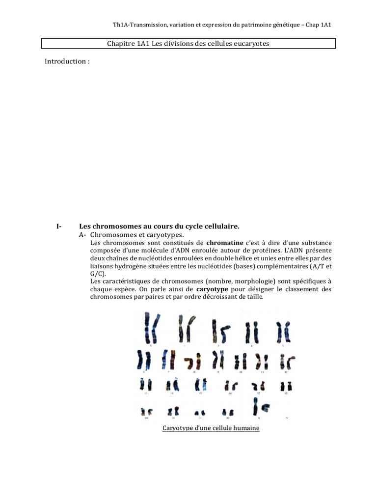 Cours Ã©lÃ Ve Chap 1A1 Les Divisions Des Cellules Eucaryotes | PDF ...