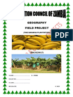 Sample Geo Field Project - Banana Plantation