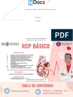 RCP Basico 416926 Downloable 3276890