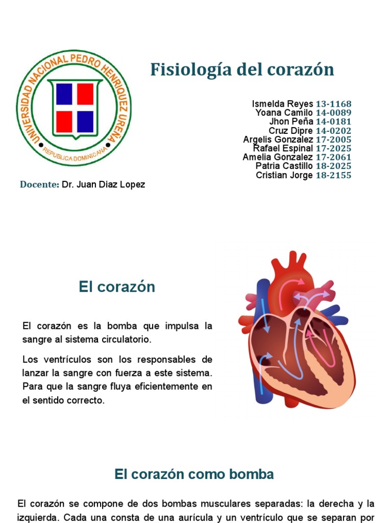 Fisiologia Del Corazon Pdf Ventrículo Corazón Electrocardiografia