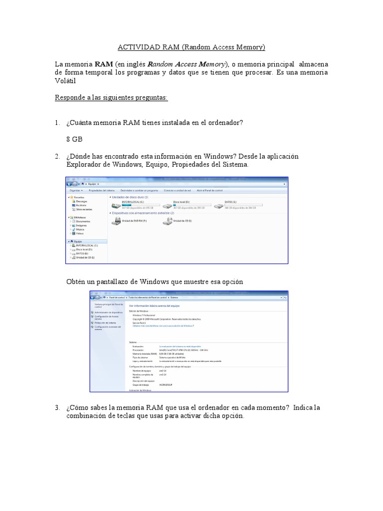 Guía sobre Memoria RAM y su Uso | PDF | Juegos y actividades | Informática