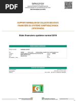 Etats Financiers 2019 H.C | PDF | Immobilisations | Capitaux