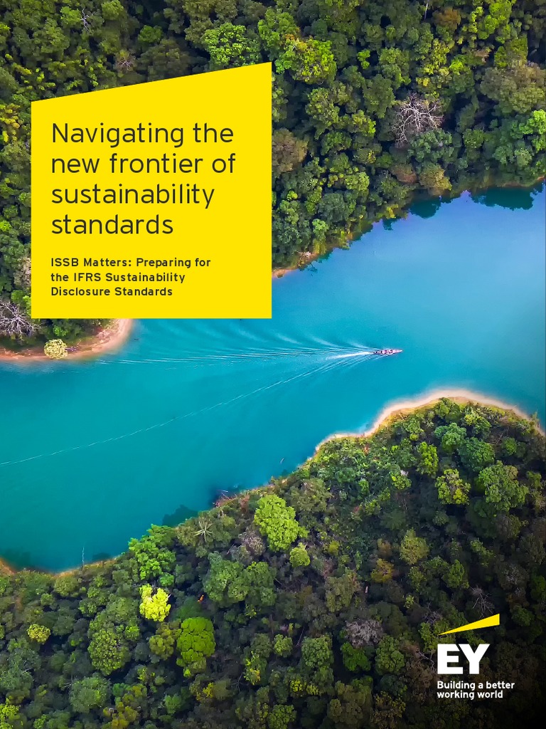 Ey Navigating The New Frontier of Sustainability Standards Final | PDF ...